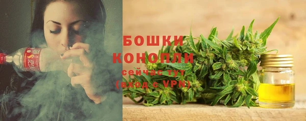 стаф Бородино