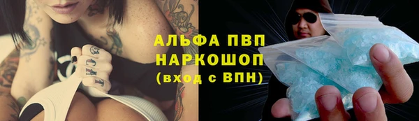 стаф Бородино