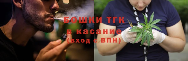 стаф Бородино