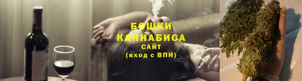 прущие грибы Бронницы