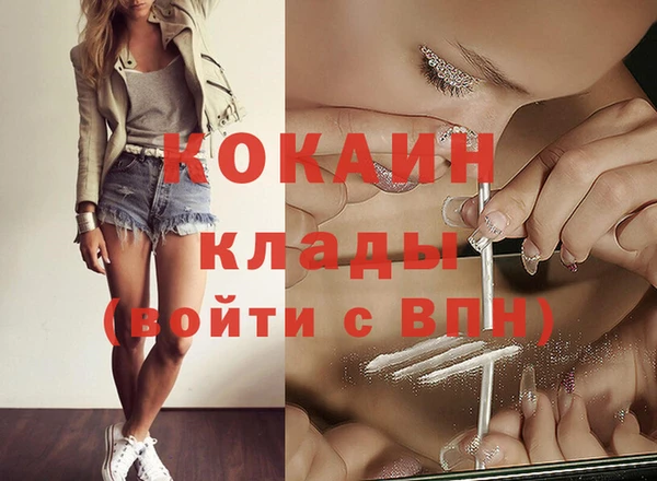 прущие грибы Бронницы