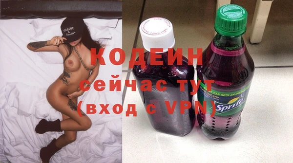 стаф Бородино