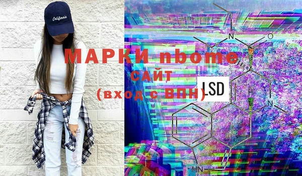 стаф Бородино