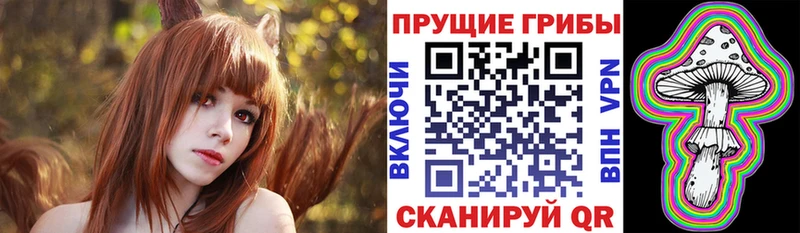 купить закладку Владивосток Псилоцибиновые грибы мухоморы